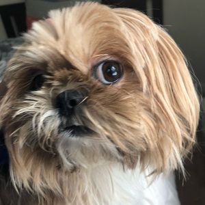 Meet your Posher, Dongyeong